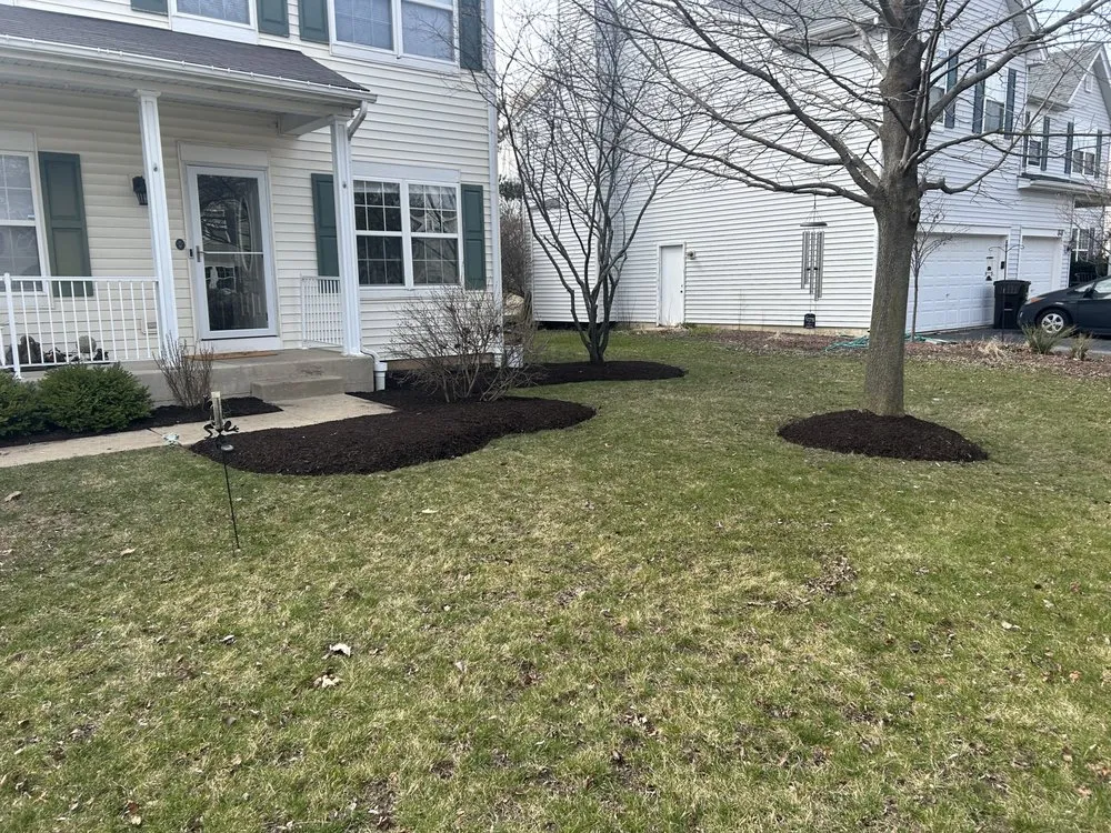 Trusted yard cleanup service in Crystal Lake, IL by Luis lawn care