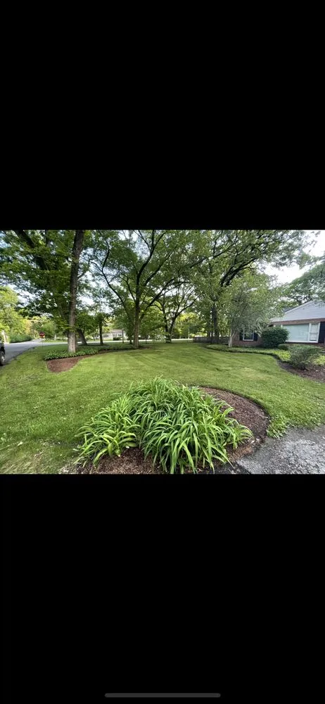 Top-rated lawn care service in Crystal Lake, IL - Luis lawn care