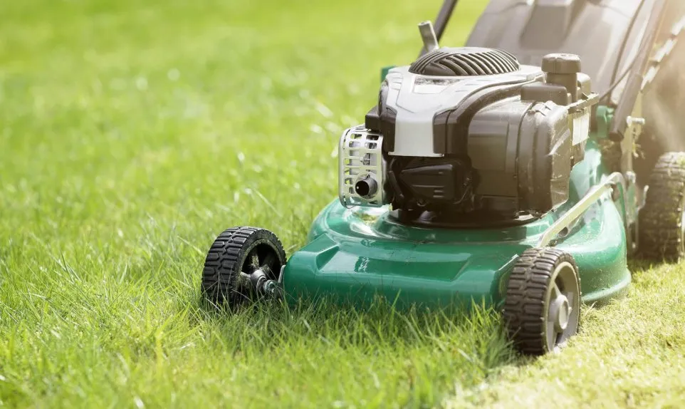 Top-rated landscape design in Downsville, LA by Luis Lawn Care