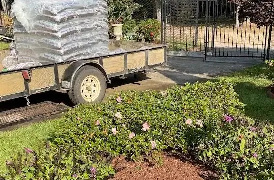 Affordable outdoor landscaping experts serving Downsville, LA - Luis Lawn Care