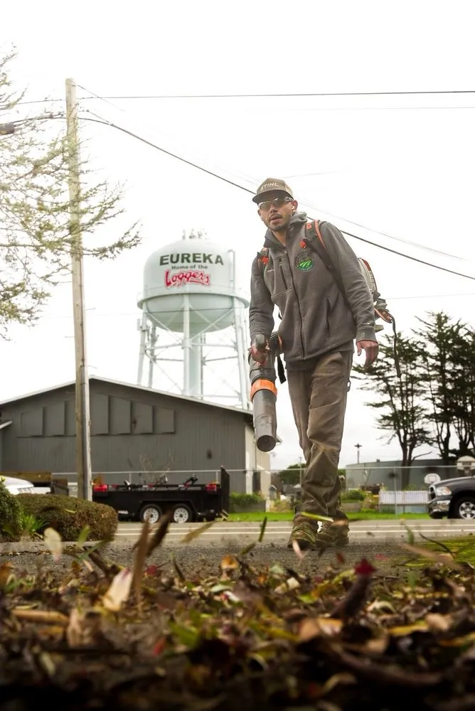 Professional landscape design in Eureka, CA by Luis Lawn Care