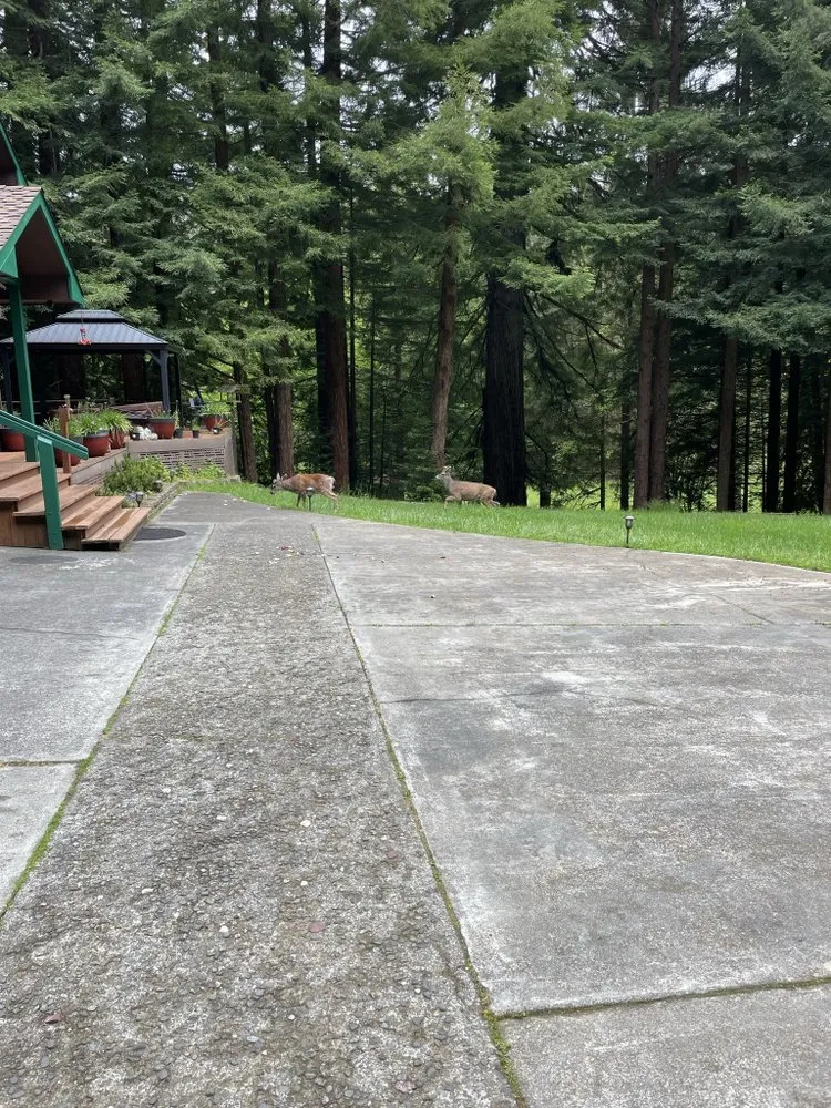 Professional lawn mowing service for beautiful yards across Eureka, CA - Luis Lawn Care