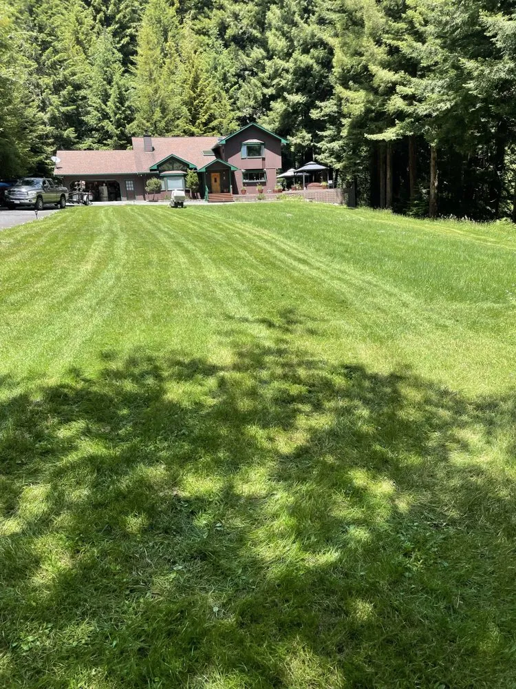 Expert residential landscaping in Eureka, CA - Luis Lawn Care