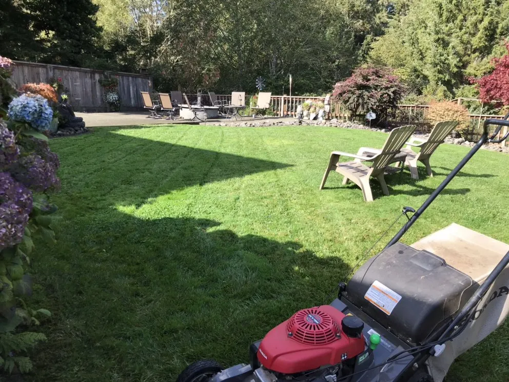Professional landscape installation experts serving Eureka, CA - Luis Lawn Care