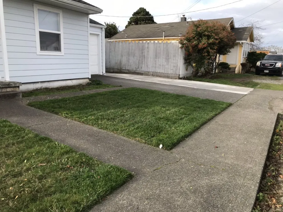 Affordable lawn mowing service in Eureka, CA - Luis Lawn Care