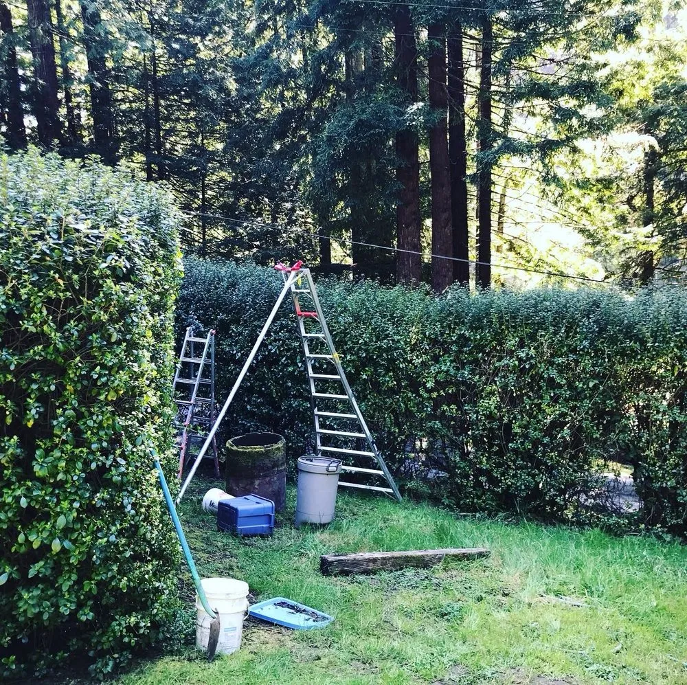 Professional lawn mowing service experts serving Eureka, CA - Luis Lawn Care