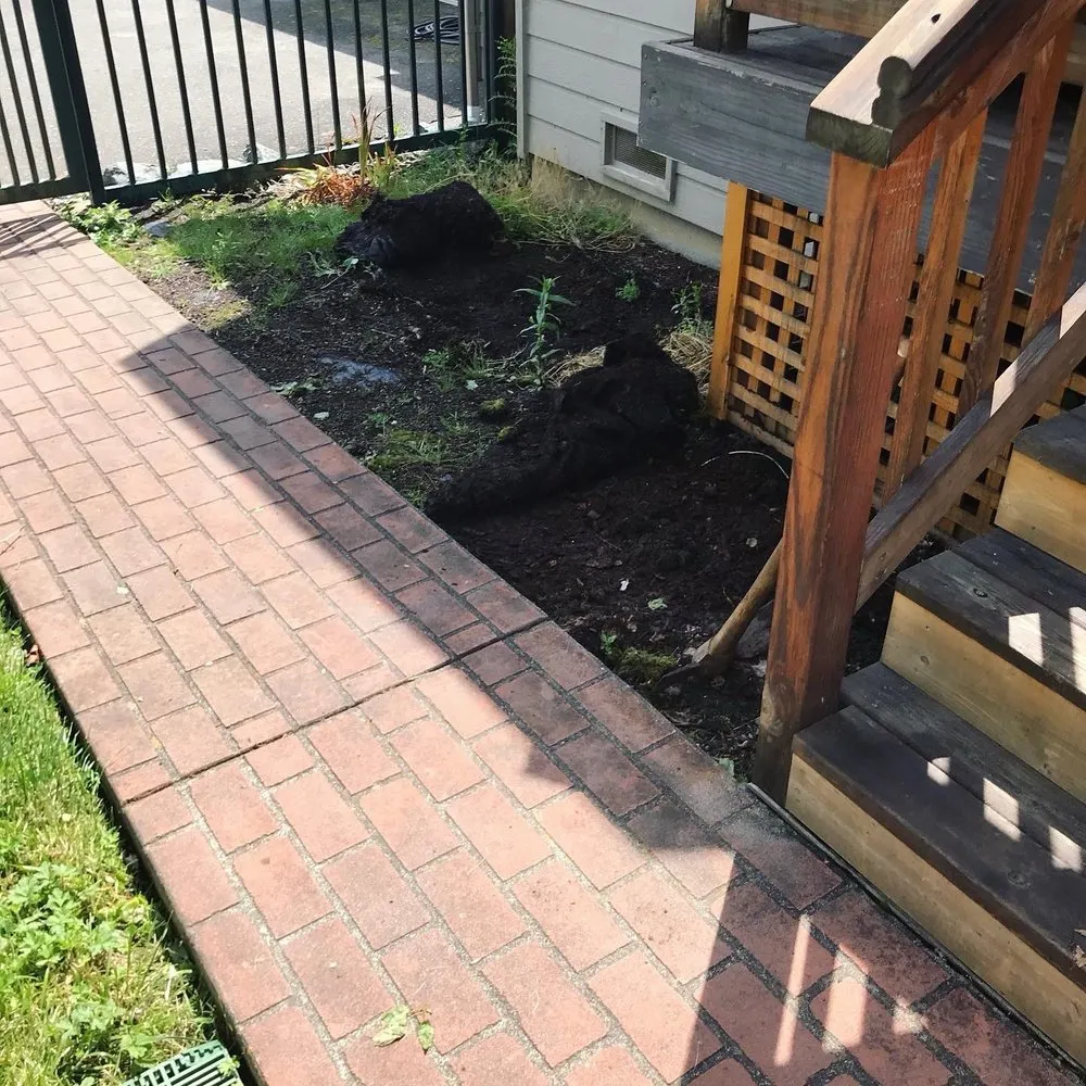 Professional yard cleanup service near you across Eureka, CA - Luis Lawn Care