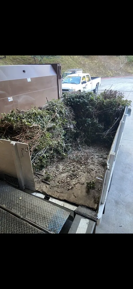 Expert yard maintenance in Long Beach, CA - Luis lawn care