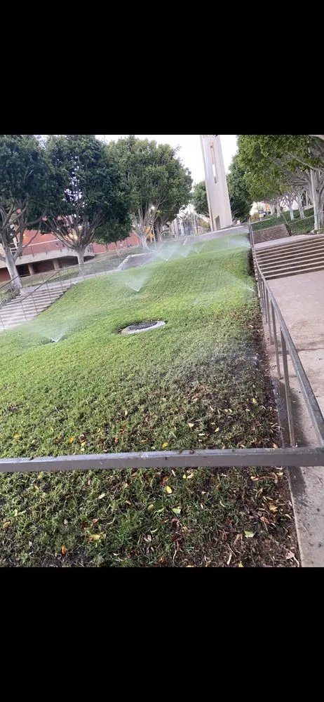 Top-rated outdoor landscaping in Long Beach, CA - Luis lawn care