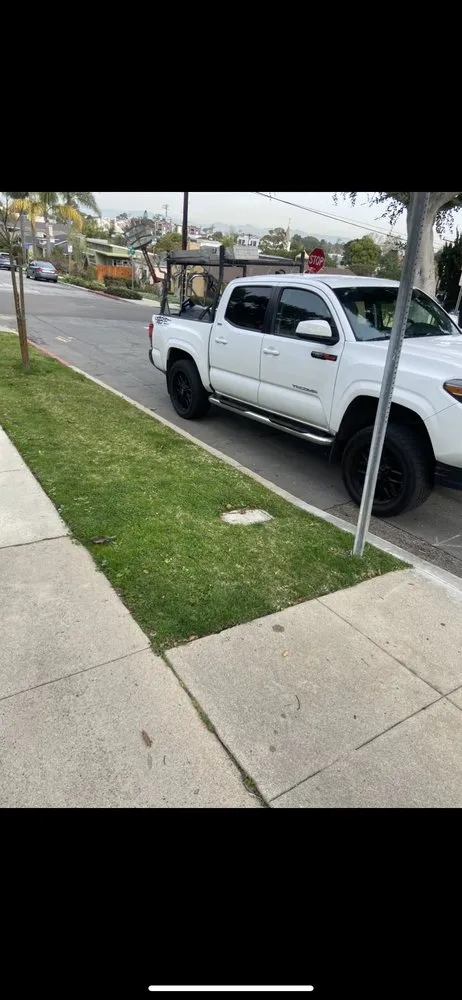 Professional residential landscaping for year-round maintenance in Long Beach, CA by Luis lawn care