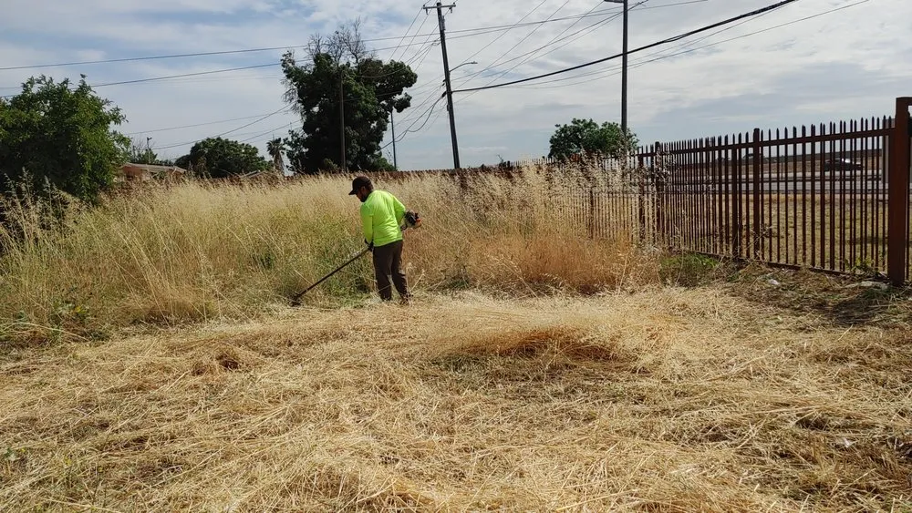 Trusted yard cleanup service experts serving Stockton, CA - Luis Lawn Care Service