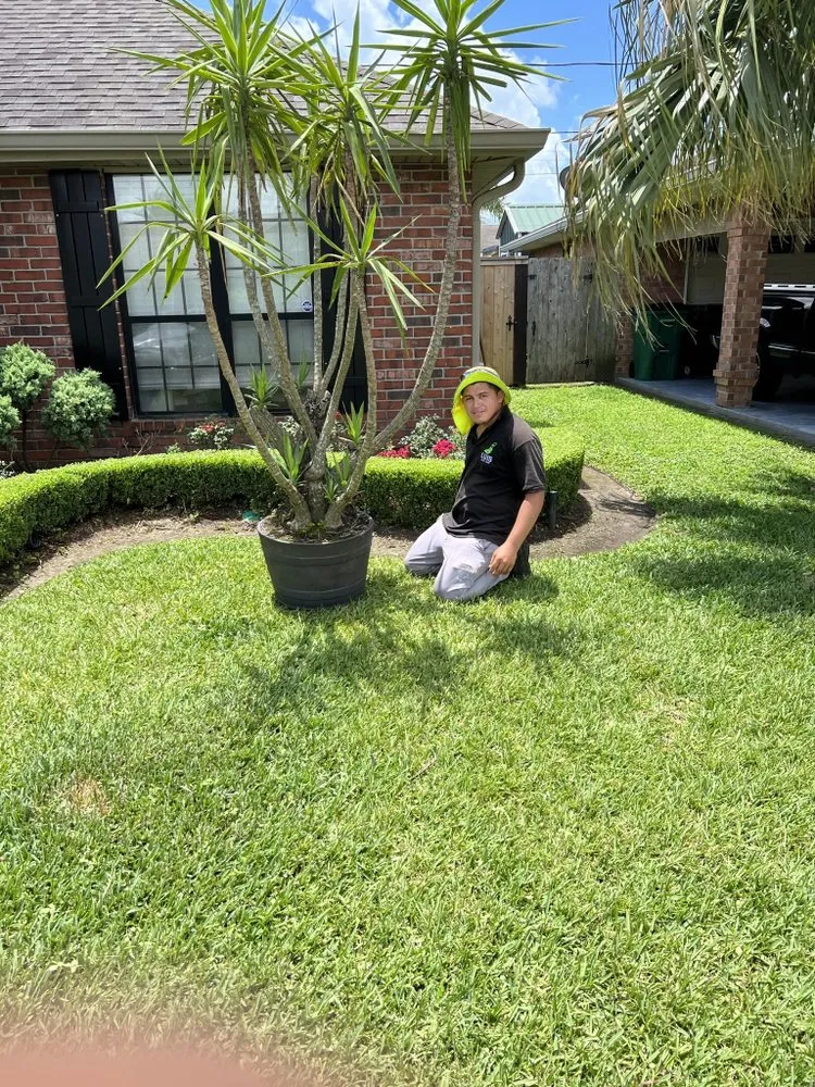 Custom landscape design in Gretna, LA - Luis Lawn Care Services
