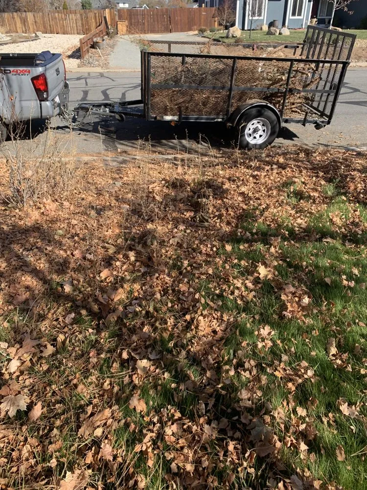 Reliable landscape installation experts serving Reno, NV - Luis Lawn Service