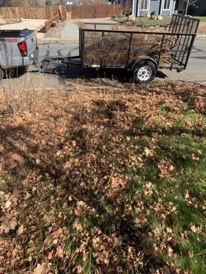 Luis Lawn Service Logo