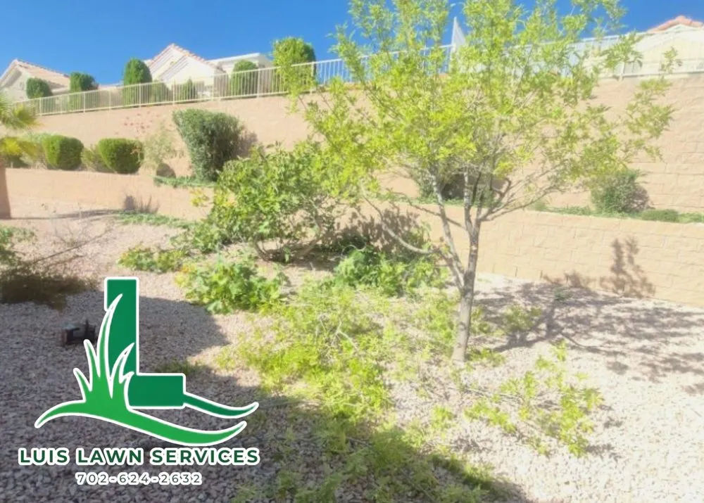 Professional landscape installation in Las Vegas, NV by Luis Lawn Services