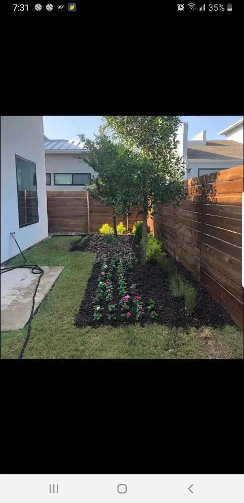 Expert yard maintenance in Dallas, TX by Luis Lawncare