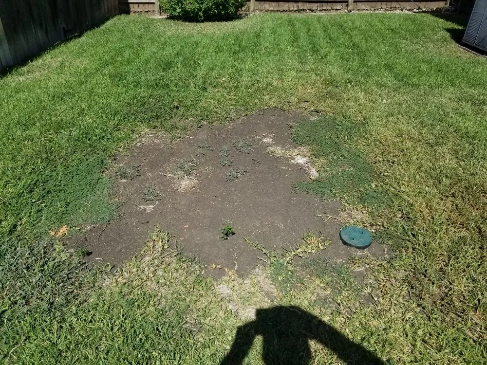 Trusted garden landscaping in Dallas, TX - Luis Lawncare