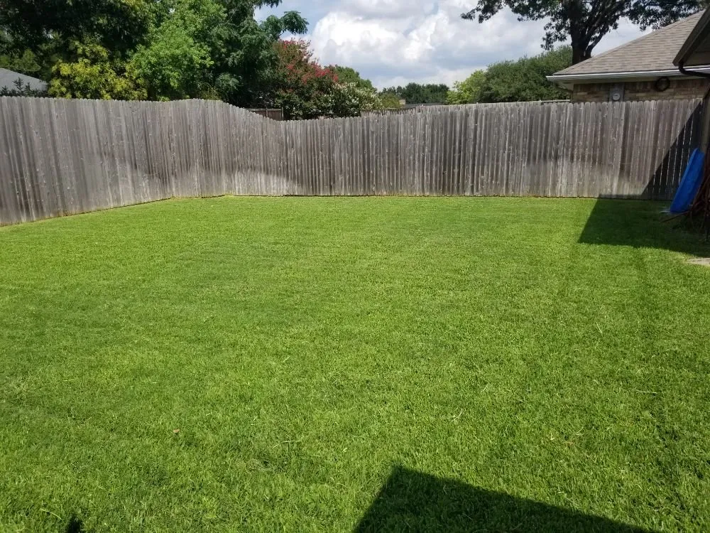 Expert residential landscaping in Dallas, TX by Luis Lawncare