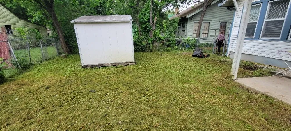 Reliable landscape design for year-round maintenance in Dallas, TX by Luis Lawncare