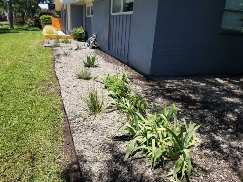 Professional outdoor landscaping experts serving Dallas, TX - Luis Lawncare
