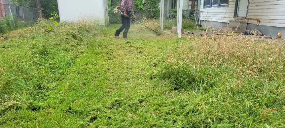 Local yard cleanup service for beautiful yards in Dallas, TX by Luis Lawncare