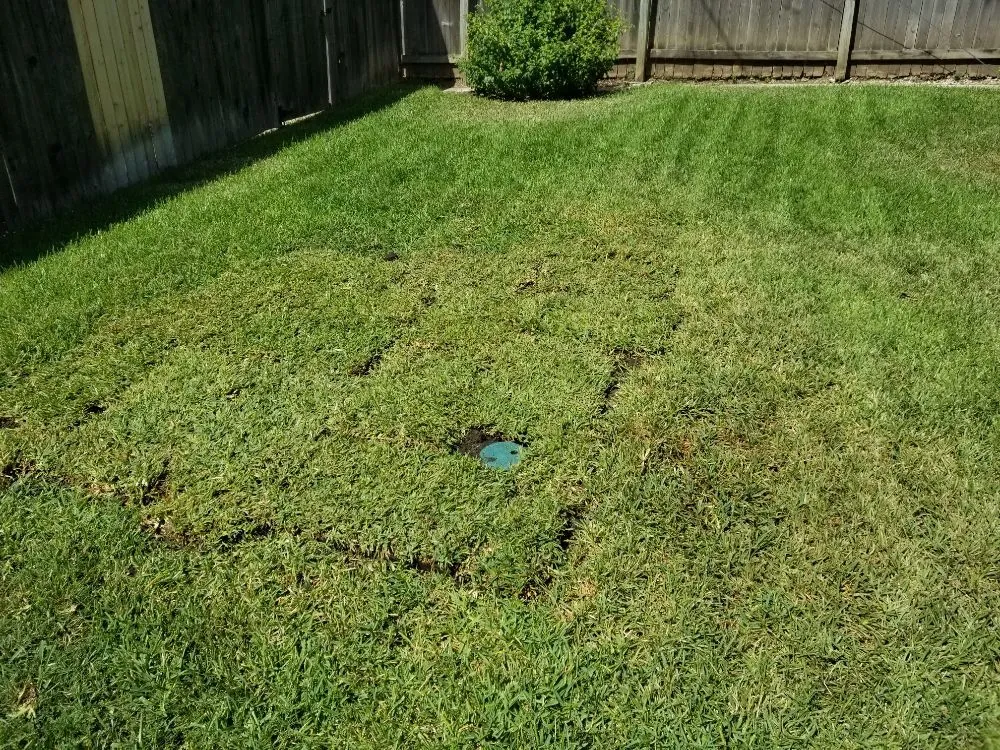 Custom landscape design in Dallas, TX - Luis Lawncare