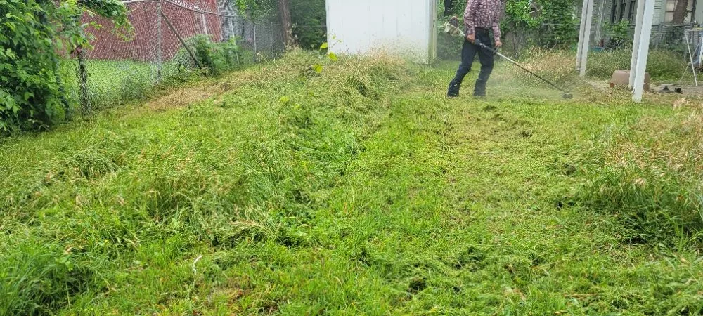 Expert yard cleanup service experts serving Dallas, TX - Luis Lawncare