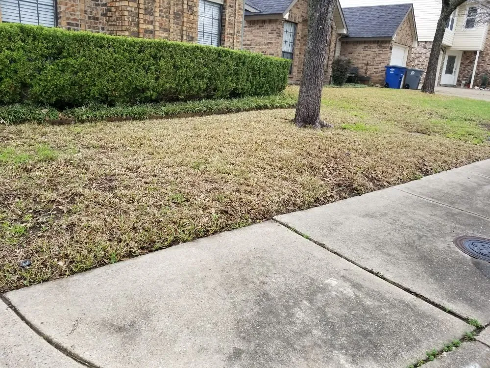 Expert garden landscaping for year-round maintenance across Dallas, TX - Luis Lawncare