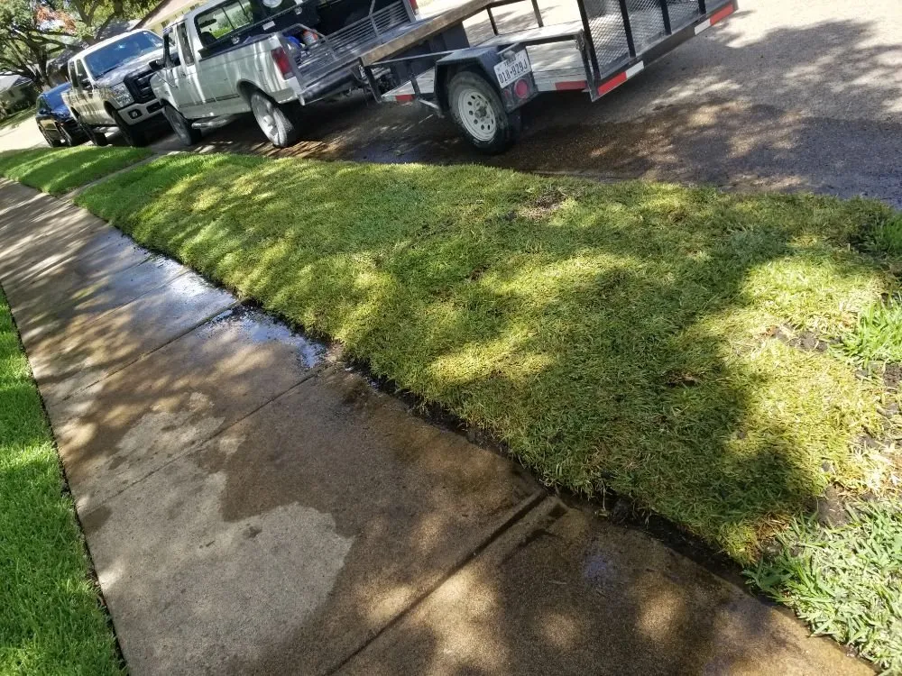 Local residential landscaping in Dallas, TX by Luis Lawncare