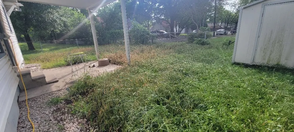 Professional outdoor landscaping near you in Dallas, TX by Luis Lawncare