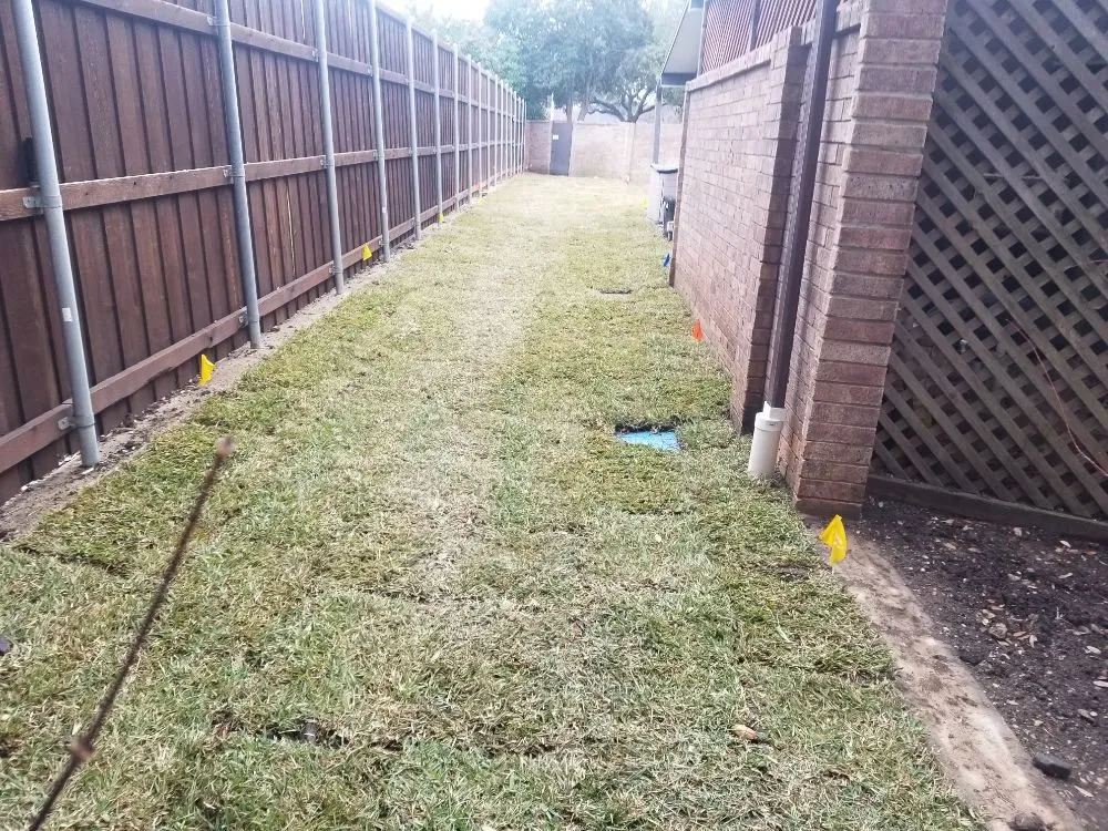 Reliable yard cleanup service in Dallas, TX - Luis Lawncare