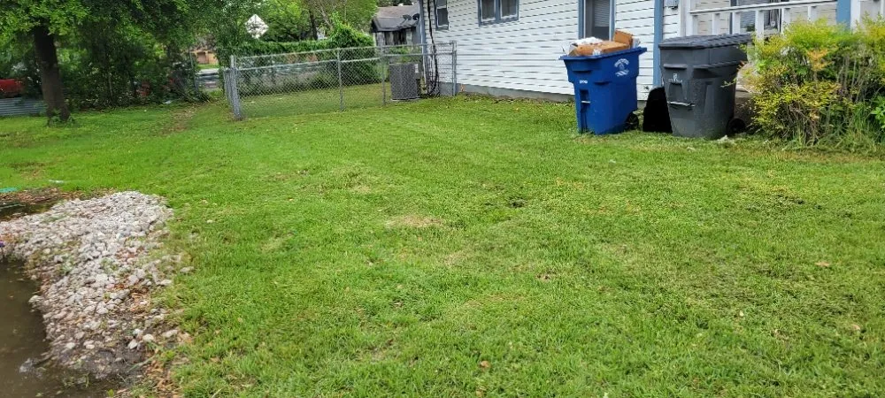 Expert landscape design experts serving Dallas, TX - Luis Lawncare