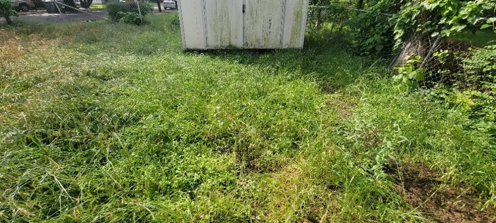 Professional lawn care service in Dallas, TX - Luis Lawncare