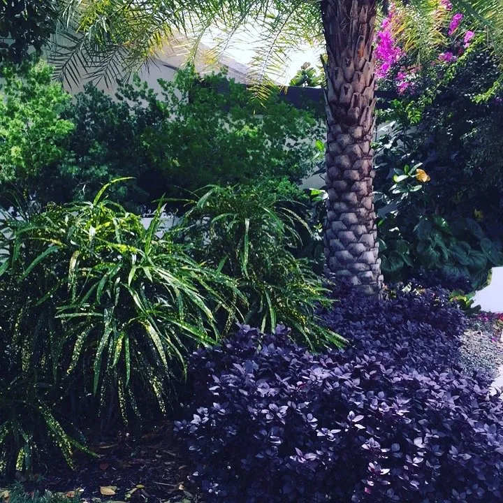 Top-rated outdoor landscaping for outdoor upgrades in Wilton Manors, FL by Luis Llenza Garden Designs