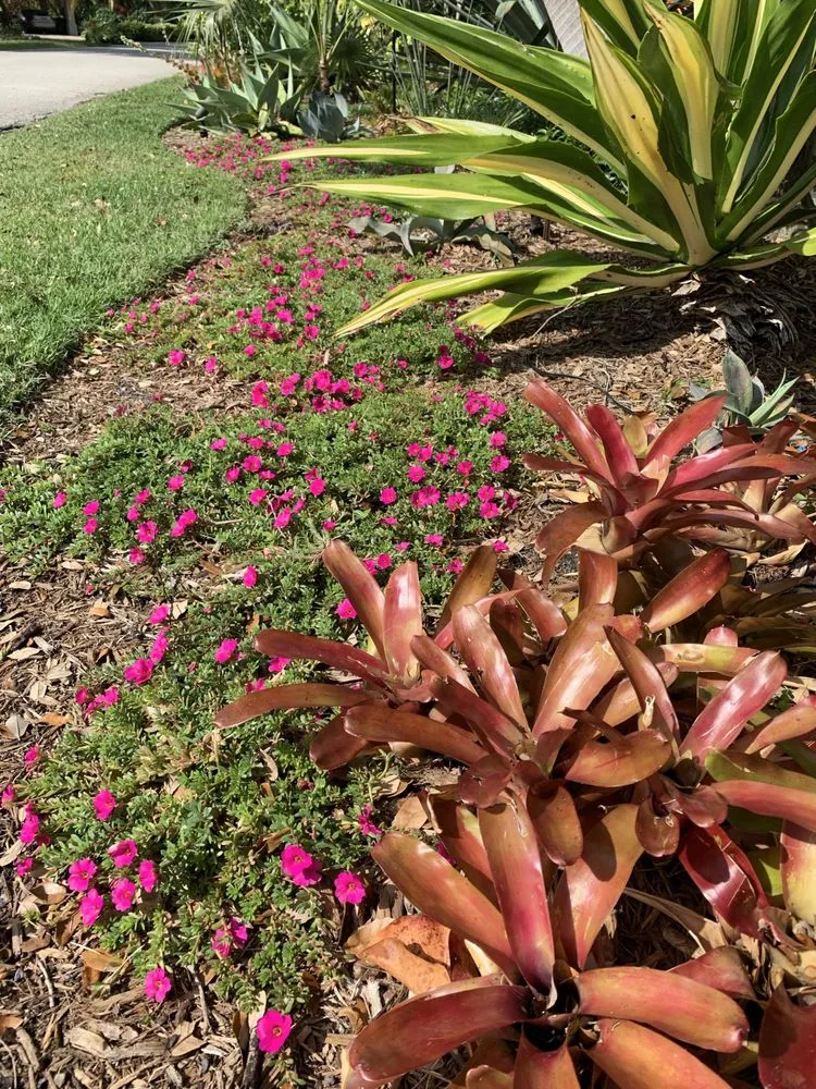 Professional residential landscaping in Wilton Manors, FL by Luis Llenza Garden Designs