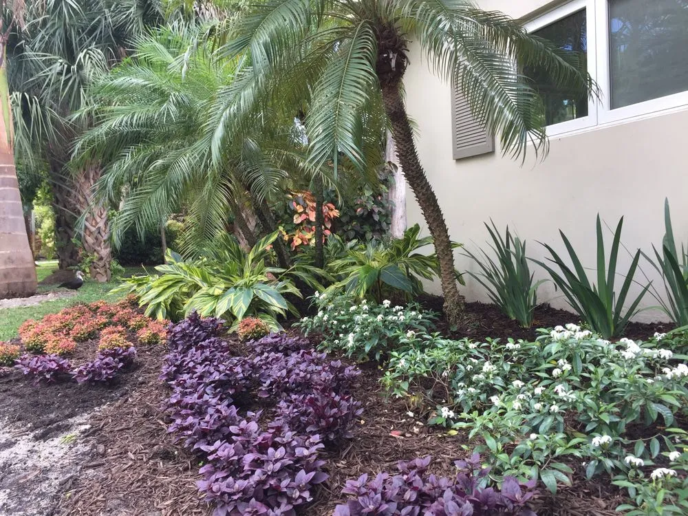 Affordable residential landscaping in Wilton Manors, FL by Luis Llenza Garden Designs