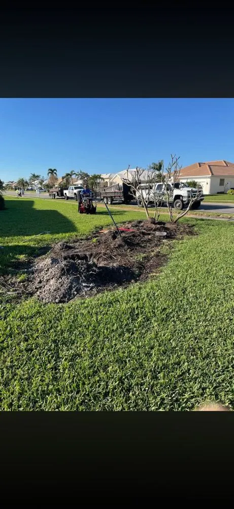 Top-rated yard cleanup service for residential properties in Bradenton, FL by Luis Lopez