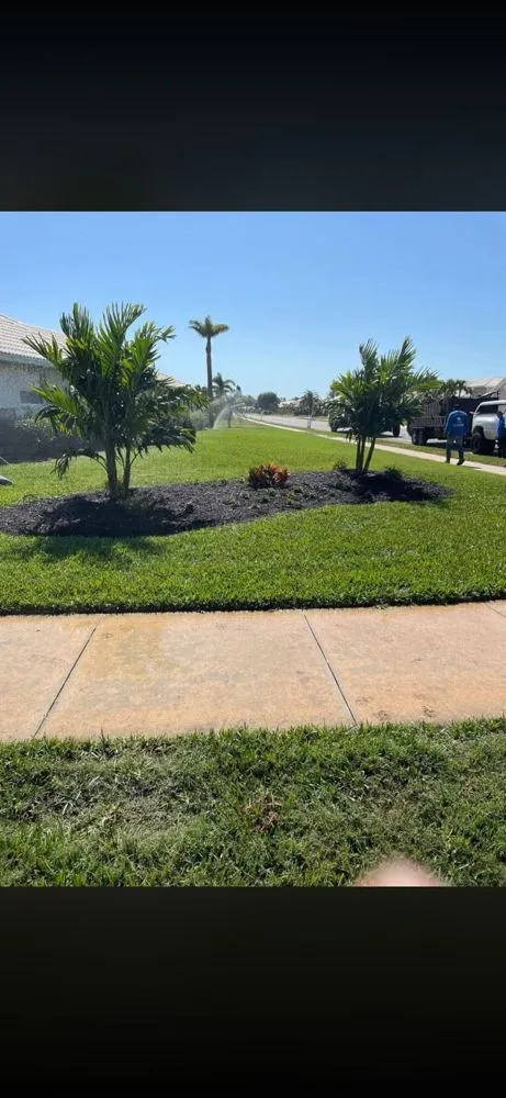 Expert yard maintenance experts serving Bradenton, FL - Luis Lopez