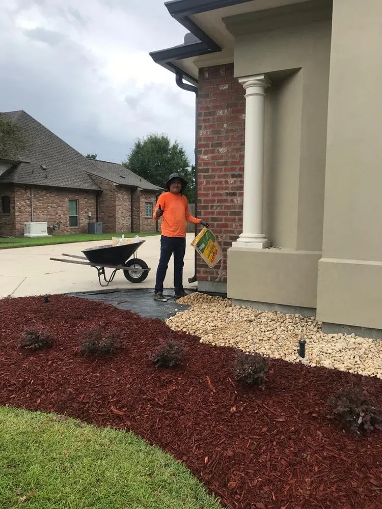 Top-rated yard cleanup service in Baton Rouge, LA - Luis Lopez Landscaping