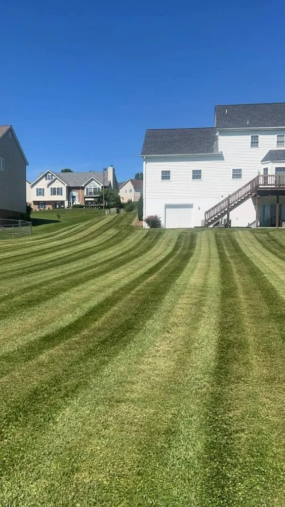 Custom landscaping services for outdoor upgrades across Jamestown, NY - Luis Lopez Landscaping