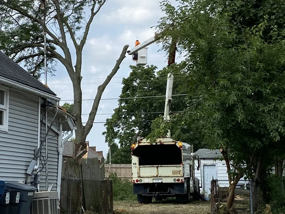 Affordable yard maintenance in Joliet, IL by Luis M Tree Service and Landscaping