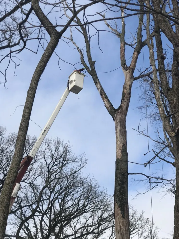 Affordable landscape design for homes in Joliet, IL by Luis M Tree Service and Landscaping