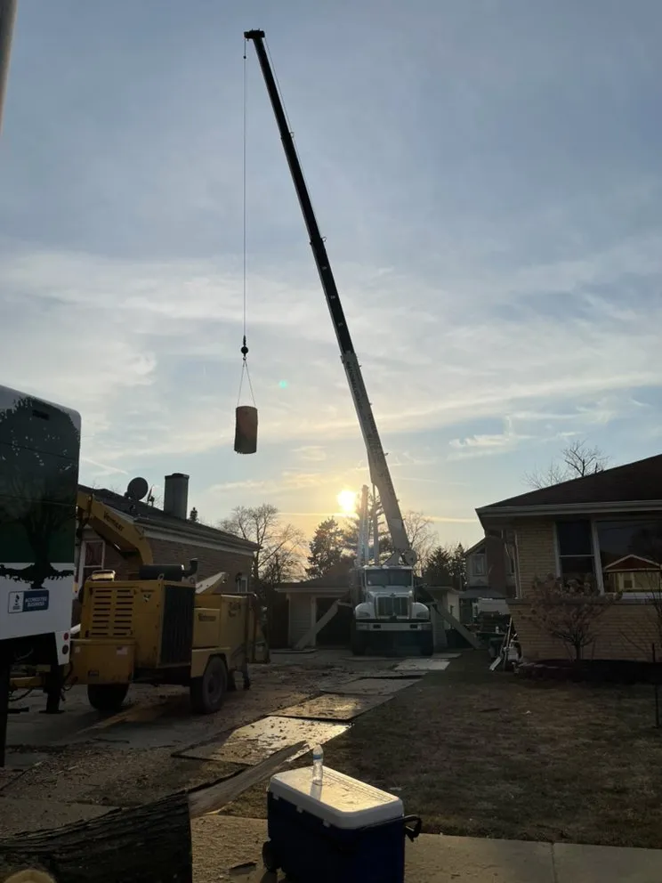 Professional landscape installation in Joliet, IL - Luis M Tree Service and Landscaping