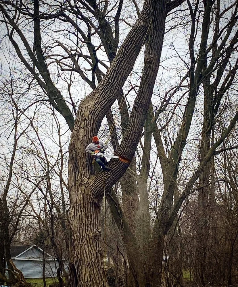 Expert lawn care service near you in Joliet, IL by Luis M Tree Service and Landscaping