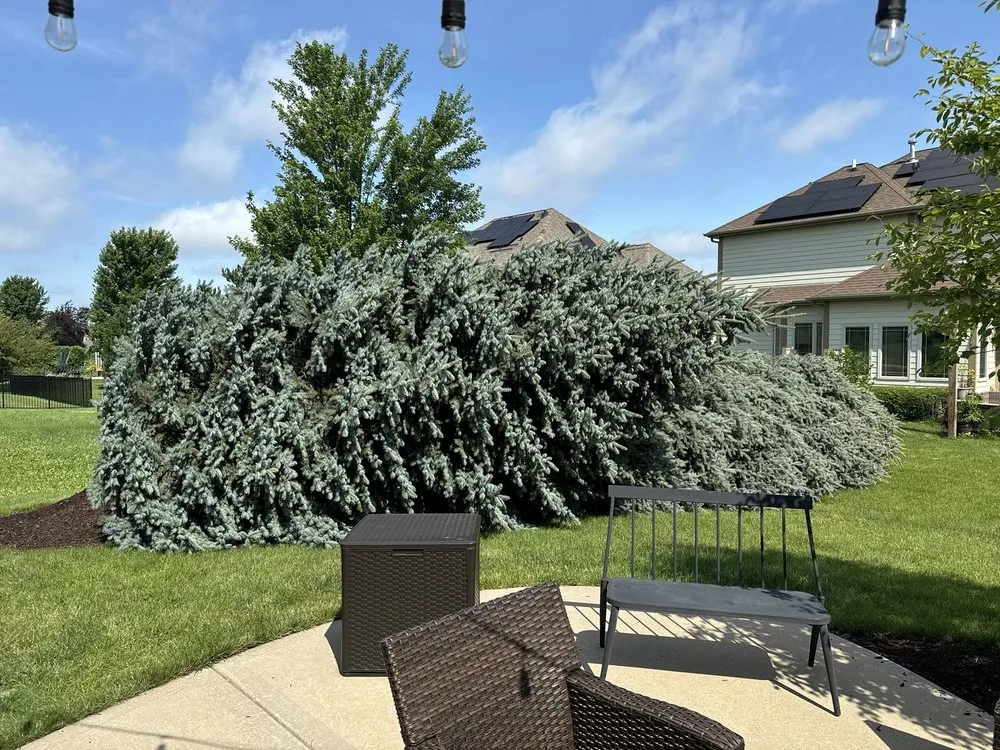 Reliable garden landscaping in Joliet, IL - Luis M Tree Service and Landscaping