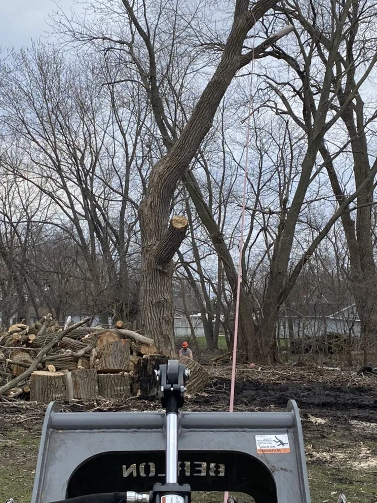 Trusted lawn care service in Joliet, IL by Luis M Tree Service and Landscaping