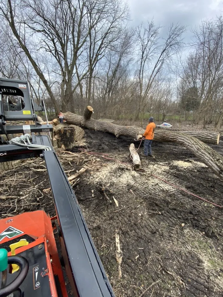Custom yard cleanup service near you in Joliet, IL by Luis M Tree Service and Landscaping