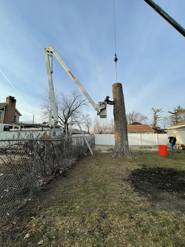 Affordable outdoor landscaping for outdoor upgrades across Joliet, IL - Luis M Tree Service and Landscaping