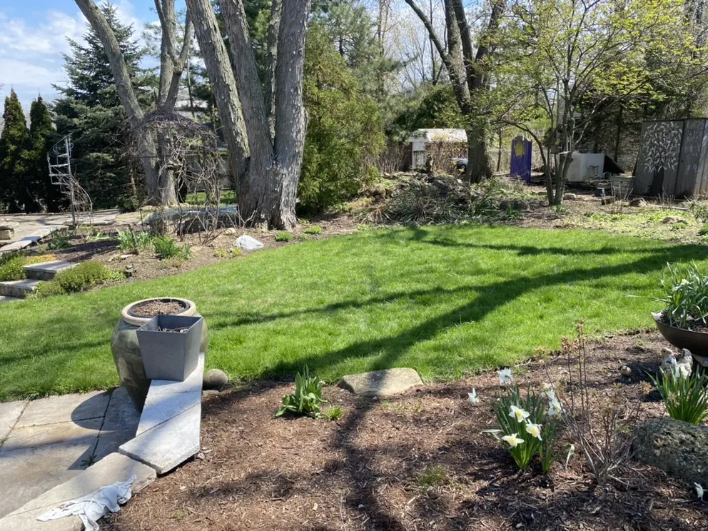 Top-rated lawn care service in Joliet, IL by Luis M Tree Service and Landscaping