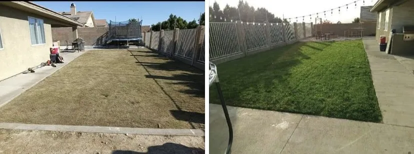 Local lawn care service experts serving Palm Desert, CA - Luis Martinez Gardening and Landscaping